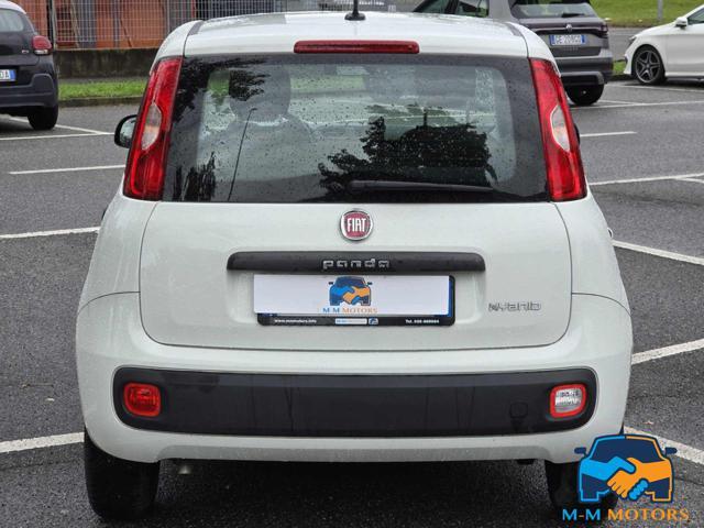 FIAT Panda 1.0 FireFly S&S Hybrid Easy NEOPATENTATI