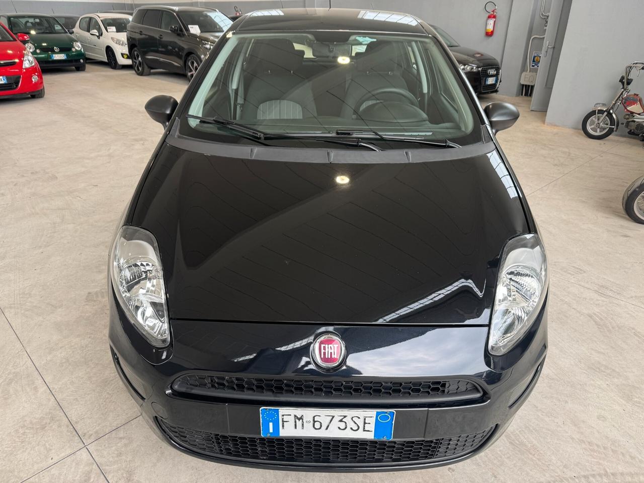 Fiat Punto 1.2 8V 5 porte Street PREZZO VERO!!