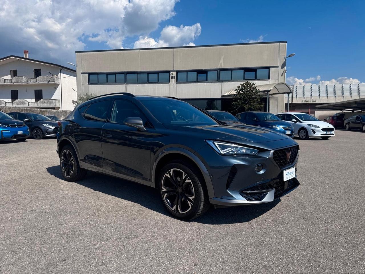 Cupra Formentor 2.0 TDI 4Drive DSG