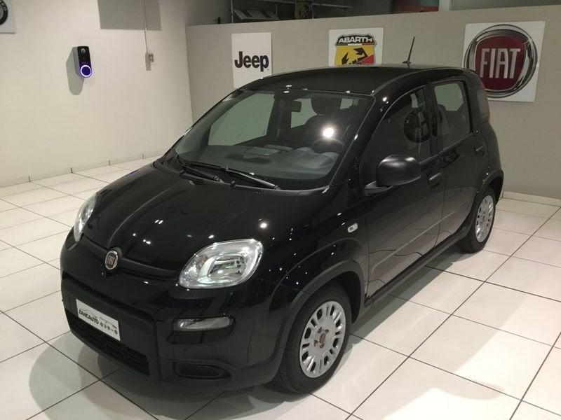 FIAT Panda Panda 1.0 FireFly S&S Hybrid Icon PROMO MESE + TARGA