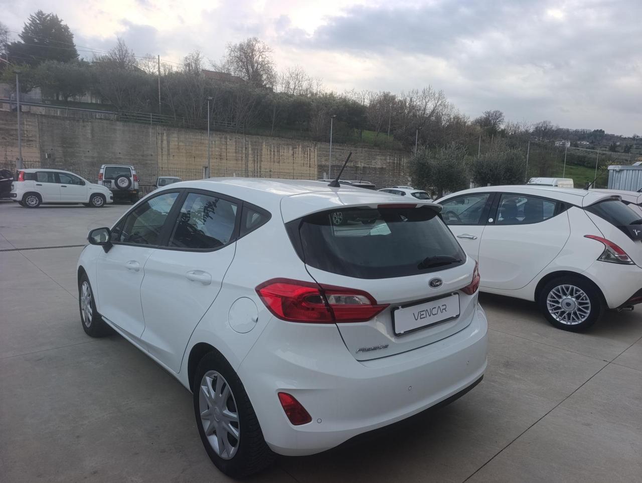 Ford Fiesta 5 Porte Fiesta 5p 1.1 Business Gpl 75cv