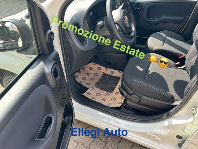 FIAT Panda PROMO FINANZ 1.0 HYBRID ICON KM 0