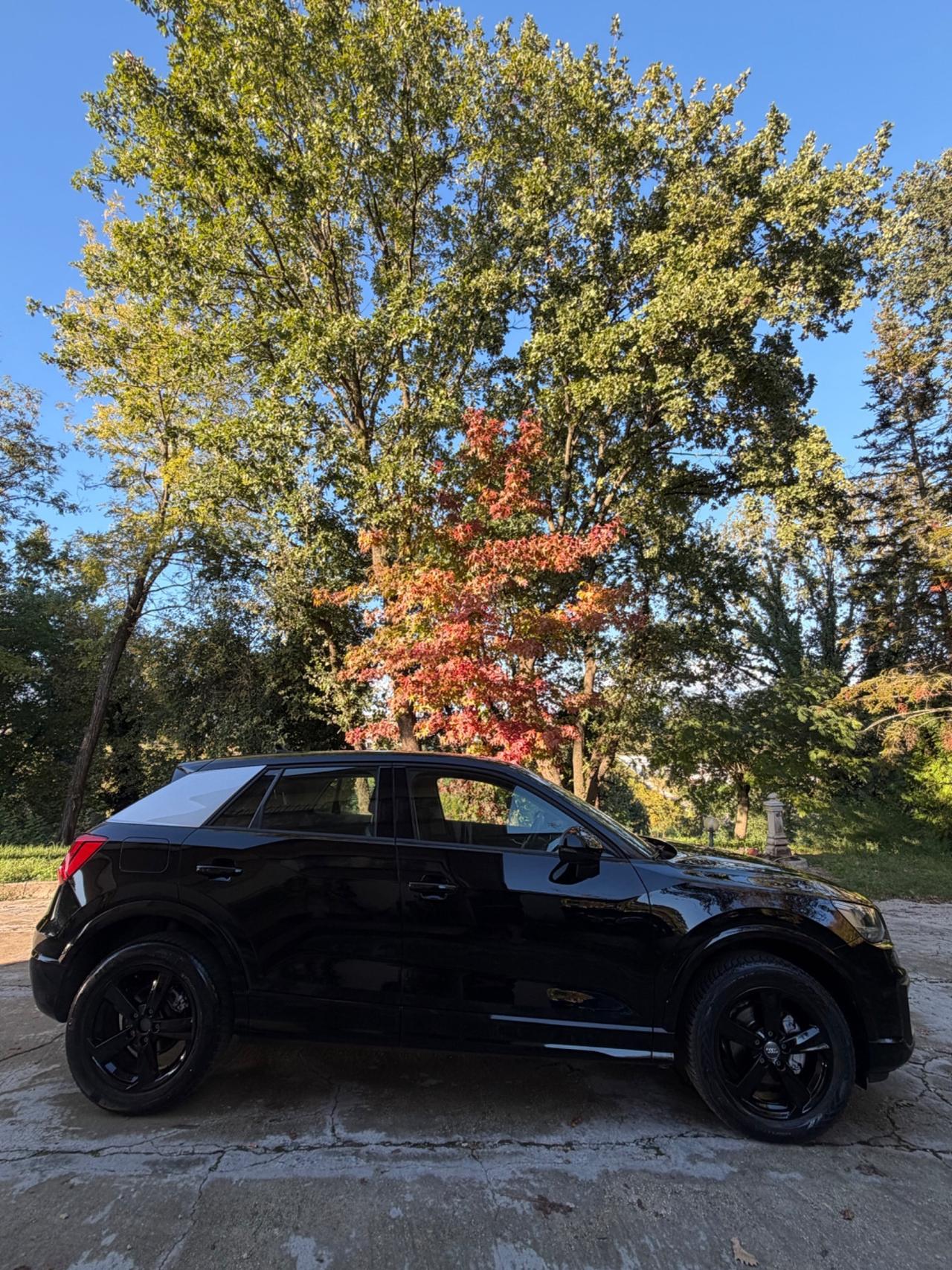 Audi Q2 1.6 S TRONIC 115CV IDENTITYBLACK