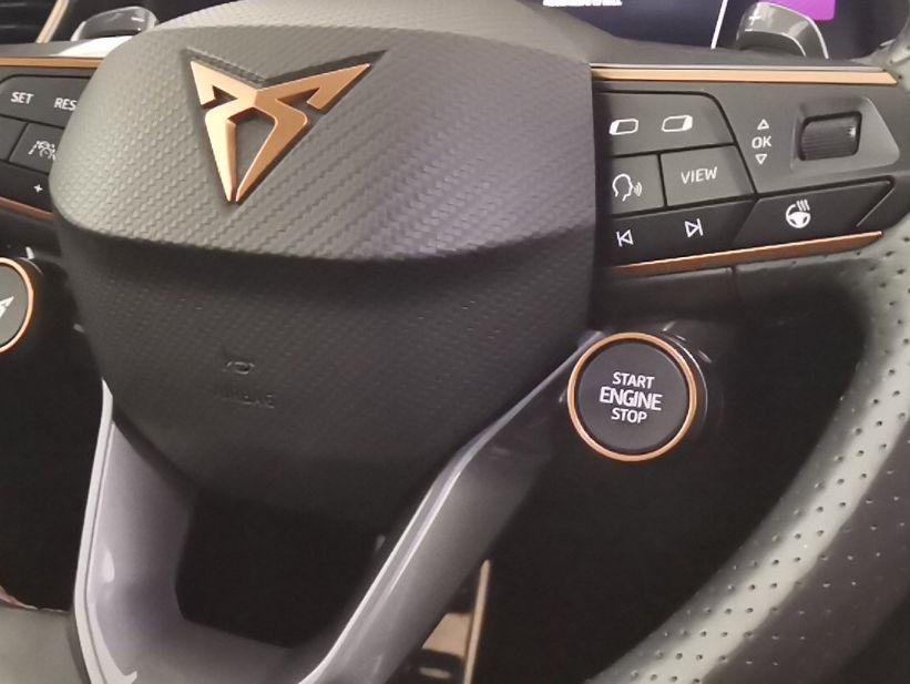 CUPRA Formentor 2020 - Formentor 2.0 tsi Tribe Edition 245cv dsg