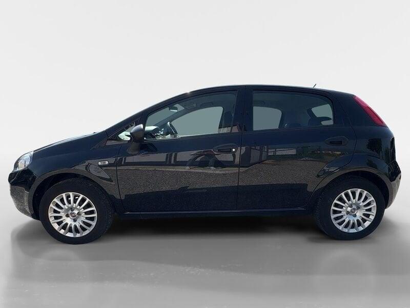 FIAT Punto Punto 1.4 8V 5 porte Easypower Street