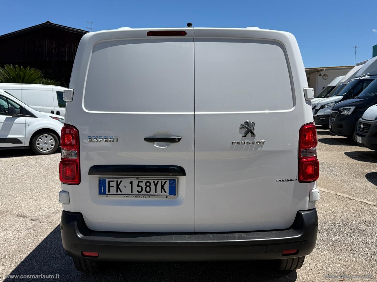 Expert BlueHDi 120 PASSO MEDIO TETTO BASSO