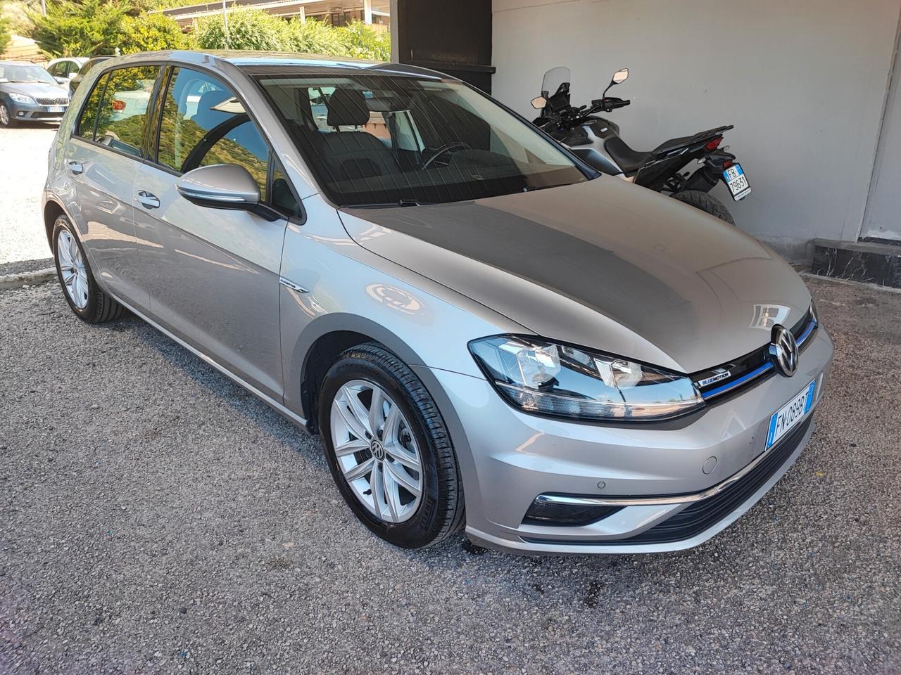 Volkswagen Golf 1.4 TGI DSG 5p. Executive BlueMotion