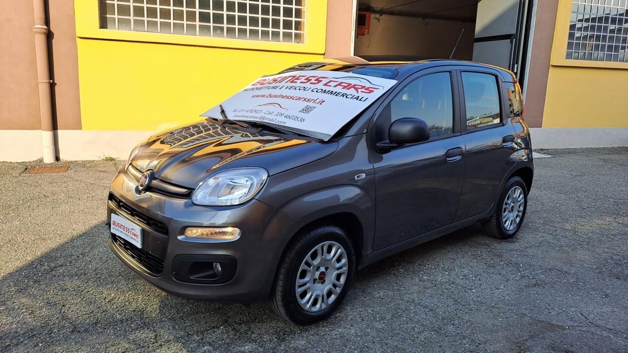 Fiat Panda 1.2 69 CV Easy- KM. 38000 AUTO PER NEOPATENTATI