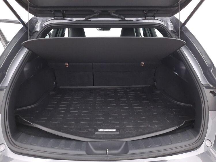 Lexus UX Hybrid Business BR487562 2.0 Full Hybrid 184CV