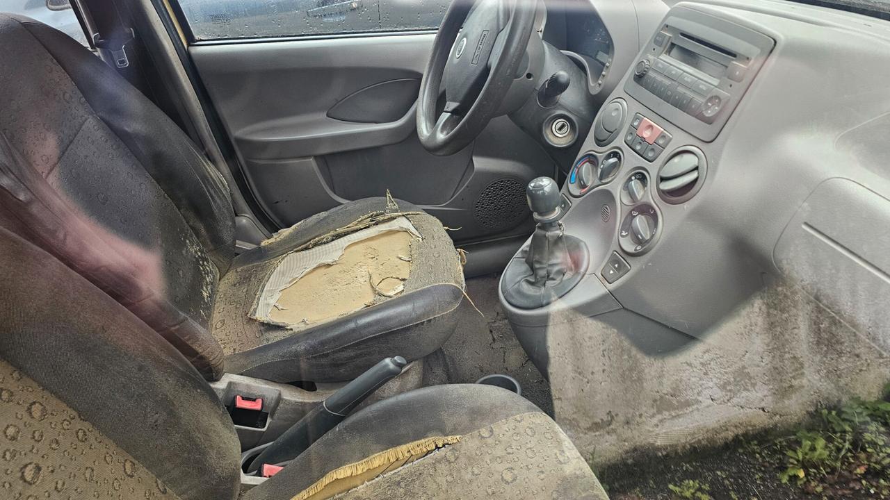 Fiat Panda 1.2 Dynamic gpl