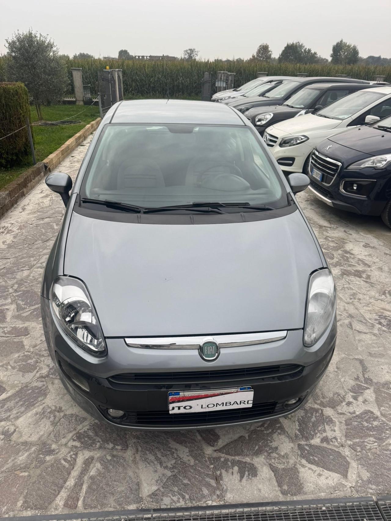 Fiat Punto Evo 1.2 5 porte S&S Dynamic neopatentati