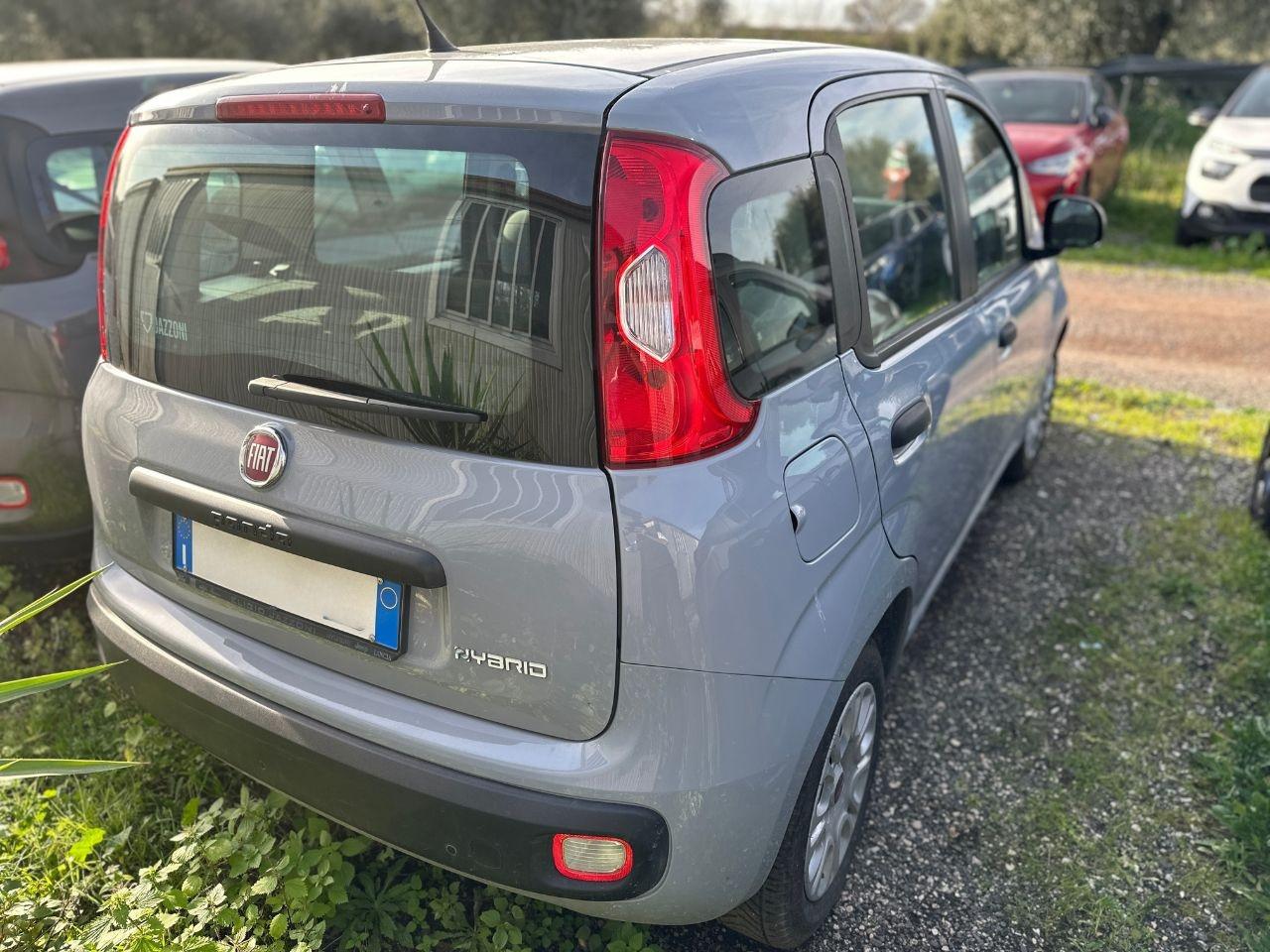 FIAT Panda III 2021 - Panda 1.0 firefly hybrid s&s 70cv