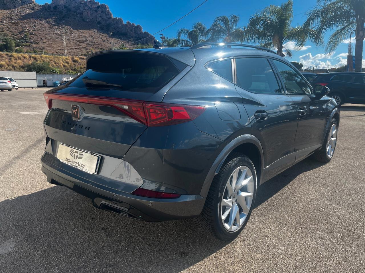 Cupra Formentor 2.0 TDI 4Drive DSG