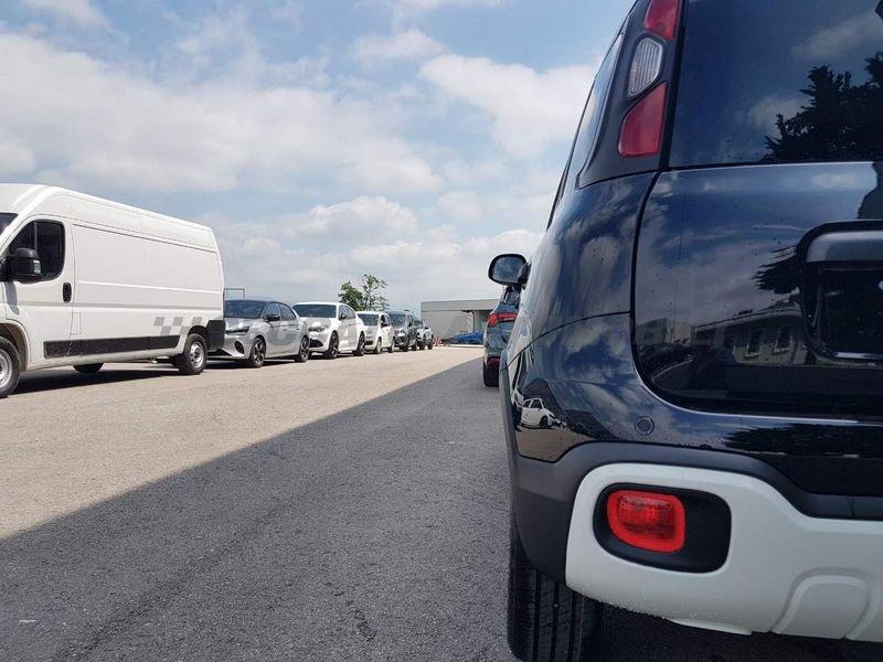 FIAT Panda Panda My25 1.0 70cv Hybrid Pandina