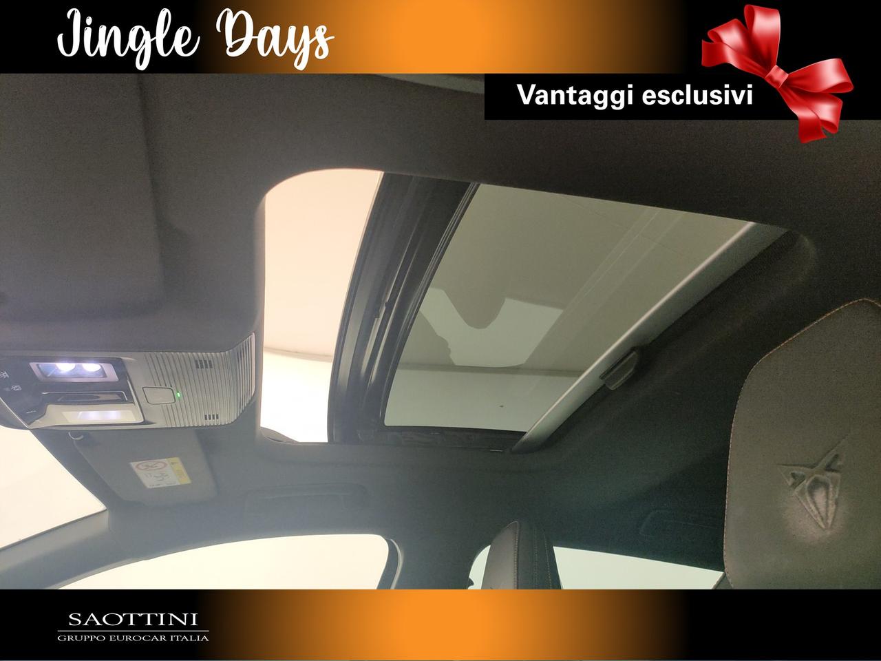 2.0 TSI VZ Carbon 300 CV DSG