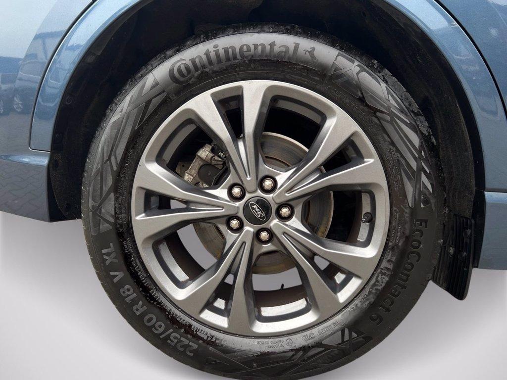 FORD Kuga 1.5 EcoBlue 120 CV aut. 2WD ST-Line X del 2022