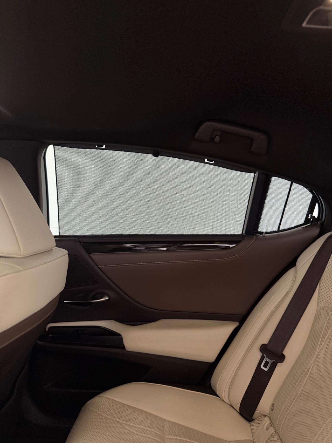 Lexus ES 300 2.5 Hybrid 218CV Tot Luxury 09/2019 Euro 6D