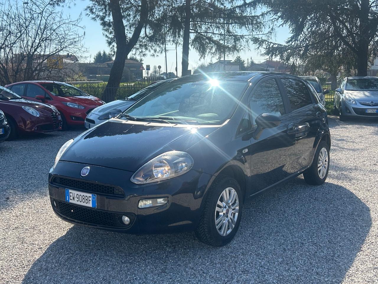 Fiat Punto 1.4 8V 5 porte Natural Power Lounge