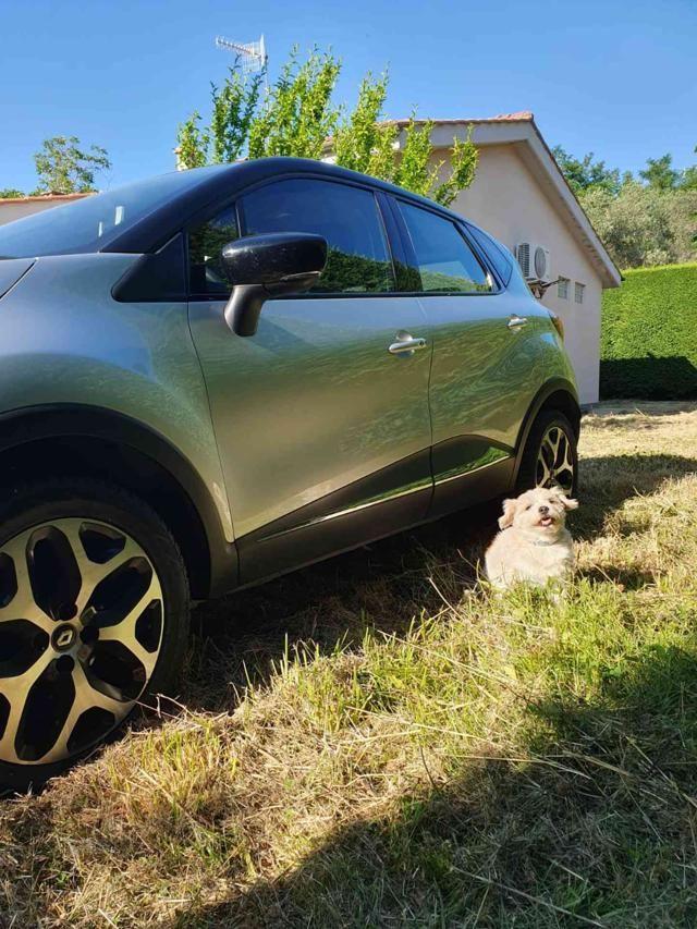 RENAULT Captur dCi 8V 90 CV Start&Stop Energy Bose