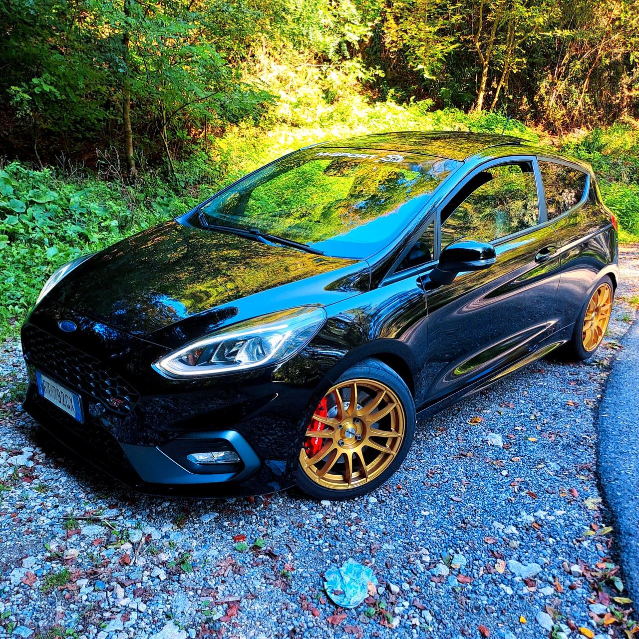 FIESTA ST200cv Performance - Tetto apribile