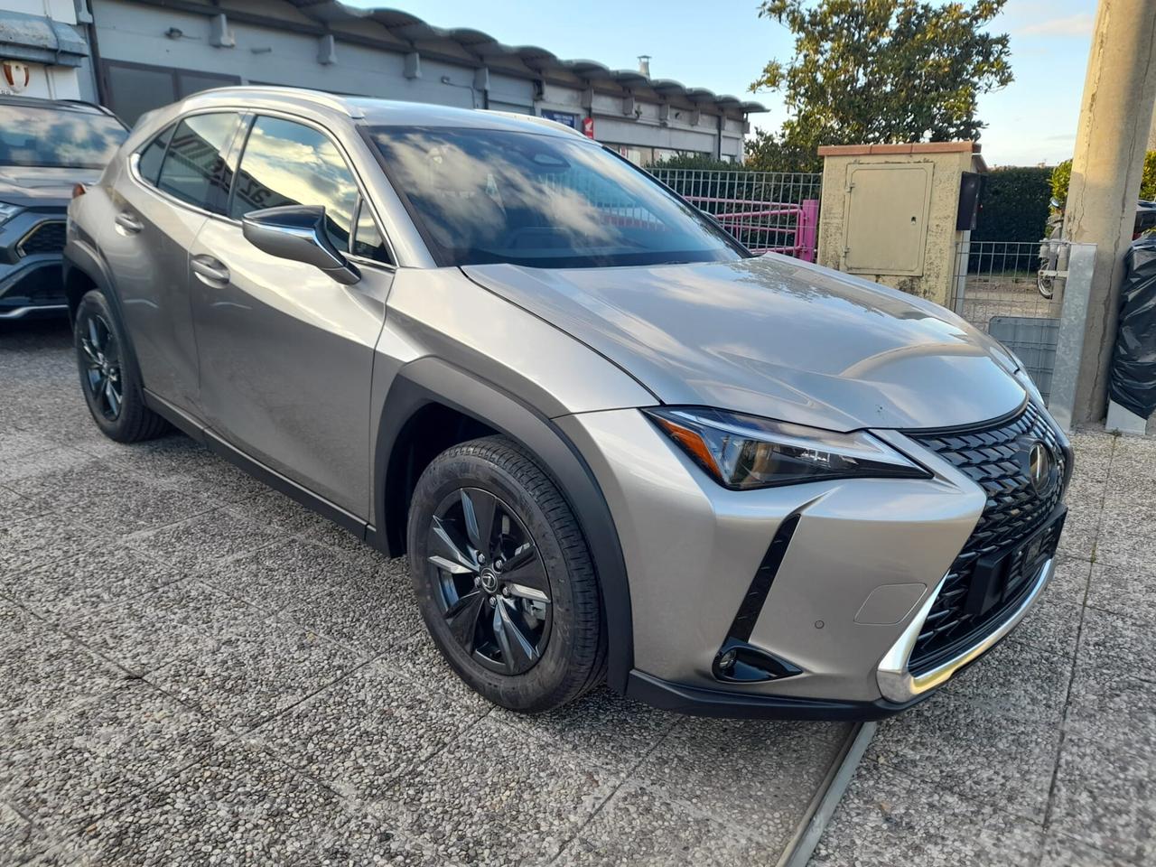 Lexus UX 300h Urban