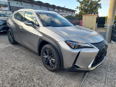 Lexus UX 300h Urban