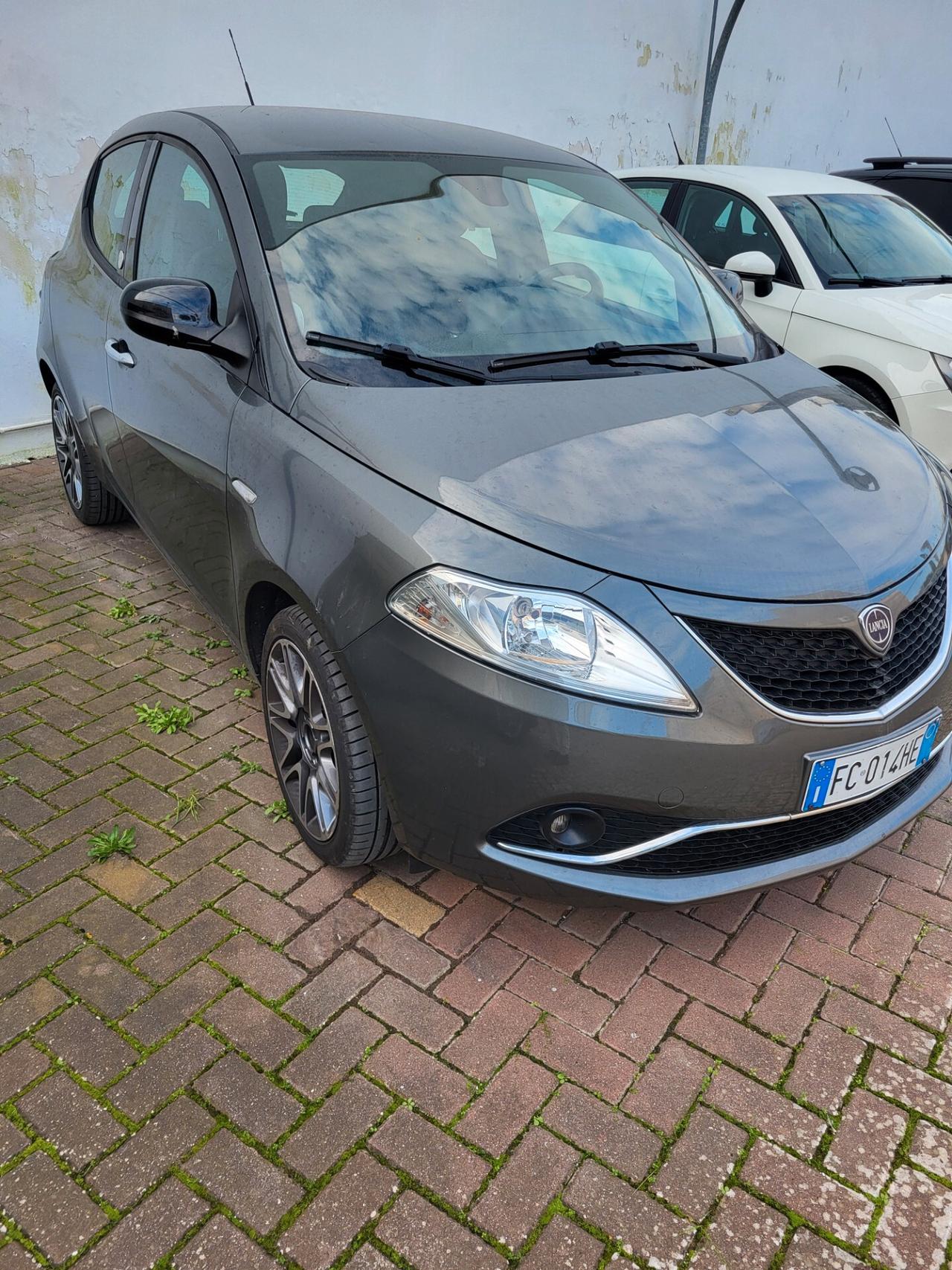 Lancia Ypsilon 1.2 69 CV 5 porte GPL Ecochic Elle