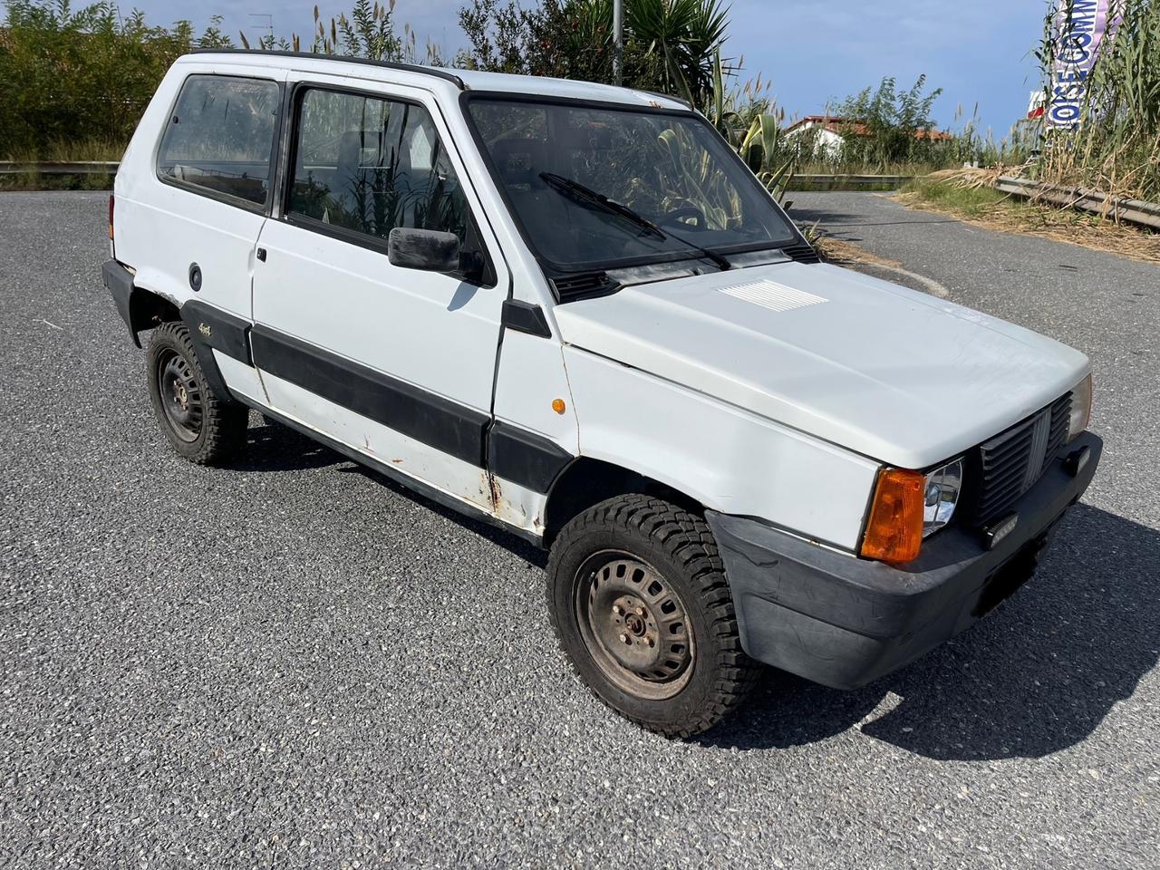 Fiat Panda 1000 4x4 Trentennale