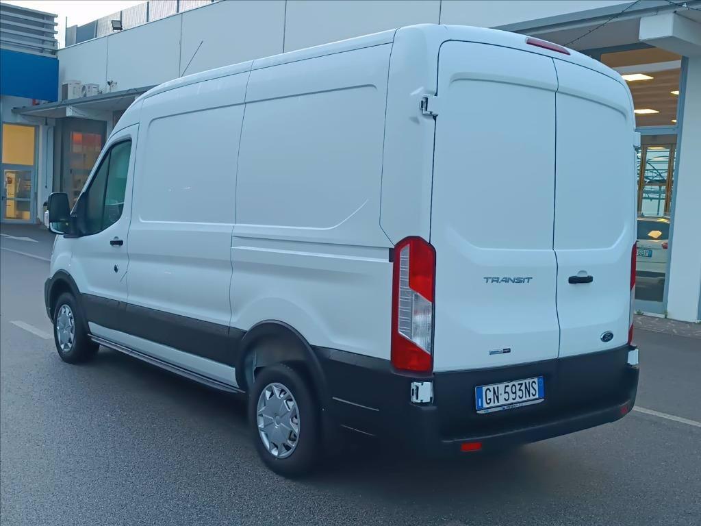 FORD Transit V363 TA Van Trd 130cv MHEV 290 L2H2 del 2023