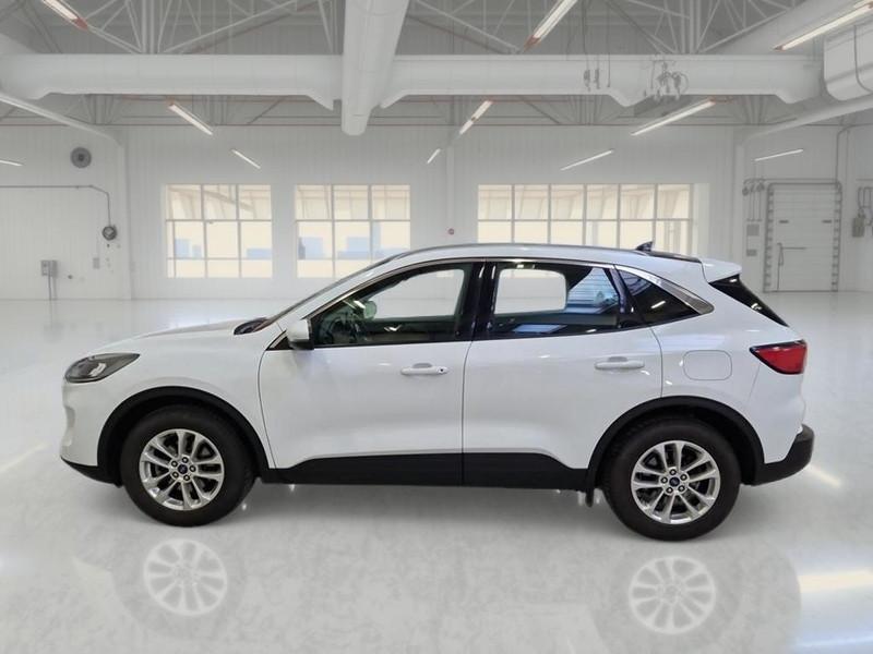 FORD KUGA 1.5 ECOBLUE 120 CV 2WD TITANIUM BUSINESS SUV