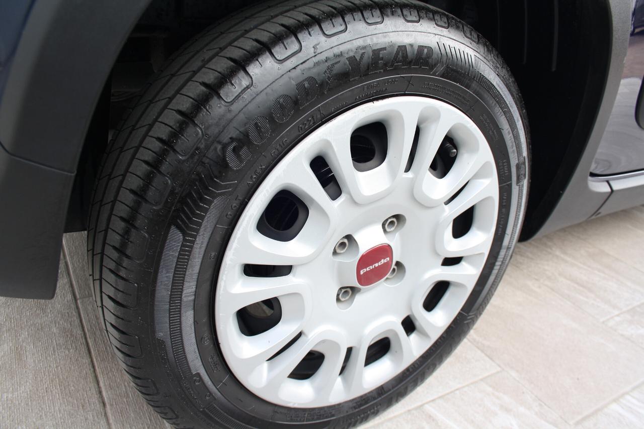 FIAT PANDA 1.0 70CV HYBRID 4P STREET N1 *2021