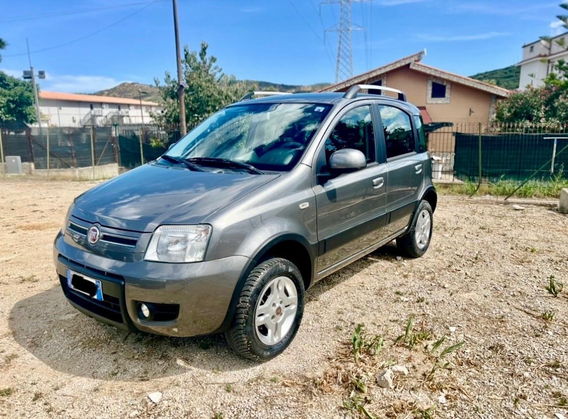 Fiat Panda 1.3 MJT 16V DPF 4x4 Climbing