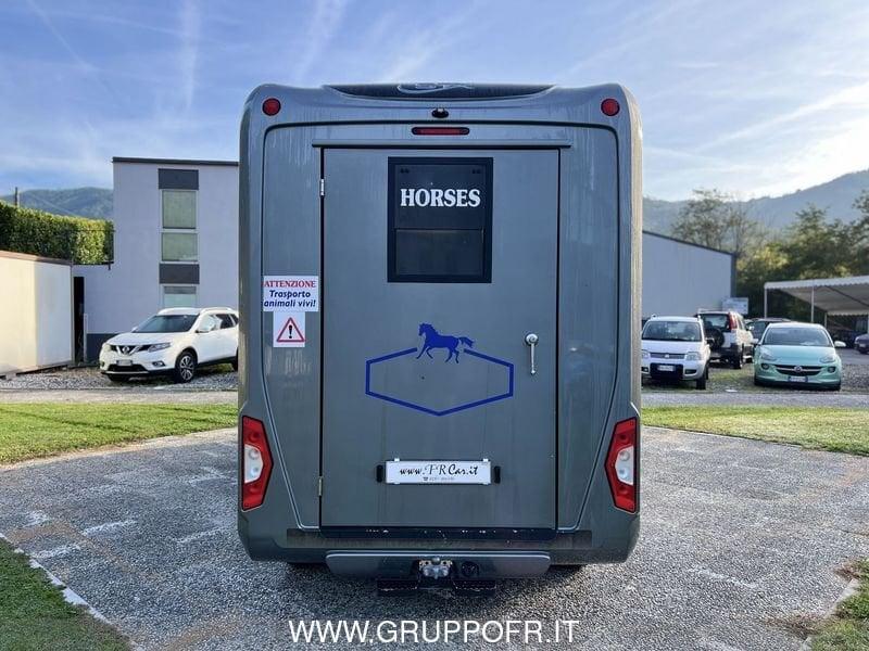 Opel Movano STX 35 FWD 2.3 turbo D 170cv MTA - TRASPORTO CAVALLI - NETTO IVA