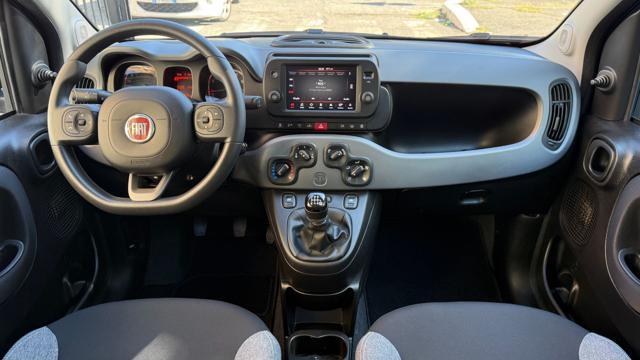 FIAT Panda 1.0 FIREFLY S&S HYBRID CITY LIFE*CARPLAY*USB*
