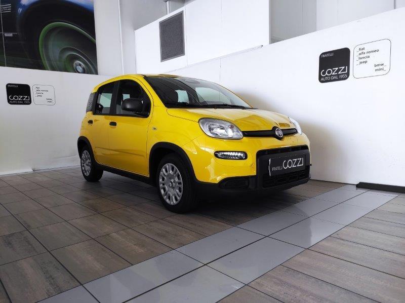 FIAT Panda 3ª serie - Panda 1.0 FireFly S&S Hybrid