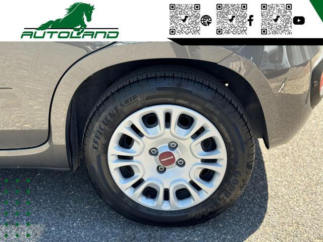 FIAT Panda 1.0 FireFly S&S Hybrid Sensori Parcheggio