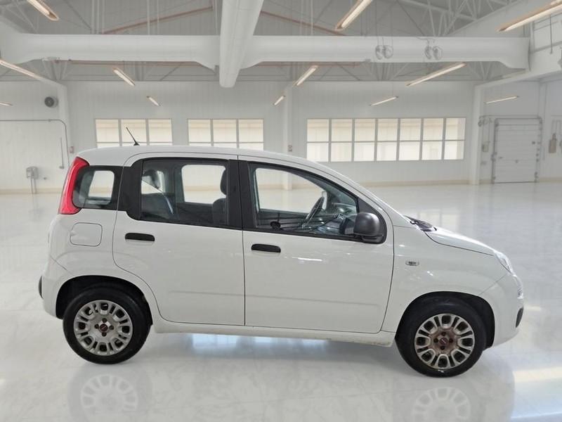 FIAT PANDA 1.2 69cv E6 Easy 5 PORTE