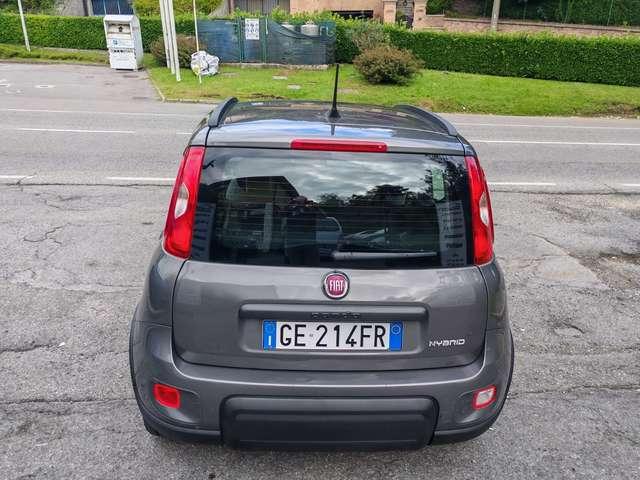 Fiat Panda Panda III 2021 1.0 firefly hybrid Sport s