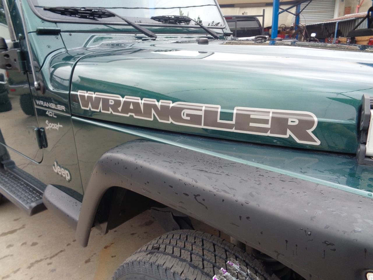 Jeep Wrangler 4.0 cat Sport