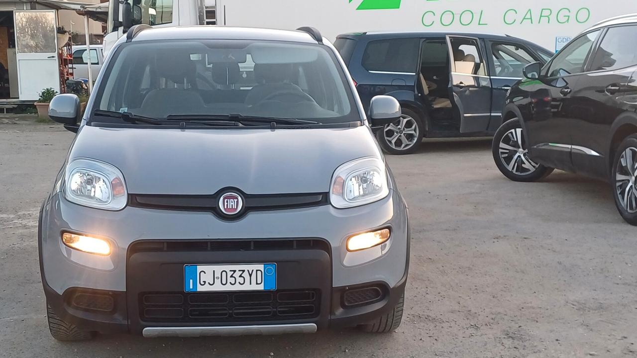 Fiat Panda 1.0 FireFly S&S Hybrid