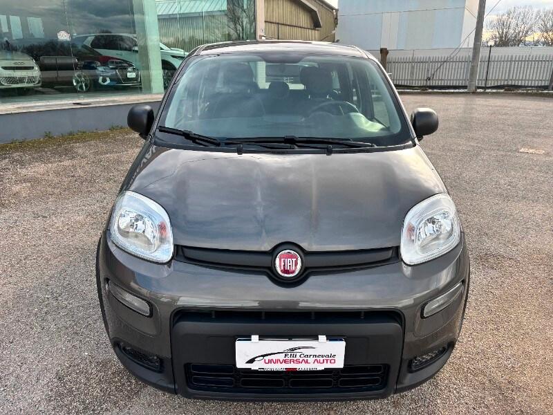 FIAT Panda 3ª serie Panda 1.0 FireFly S&S Hybrid