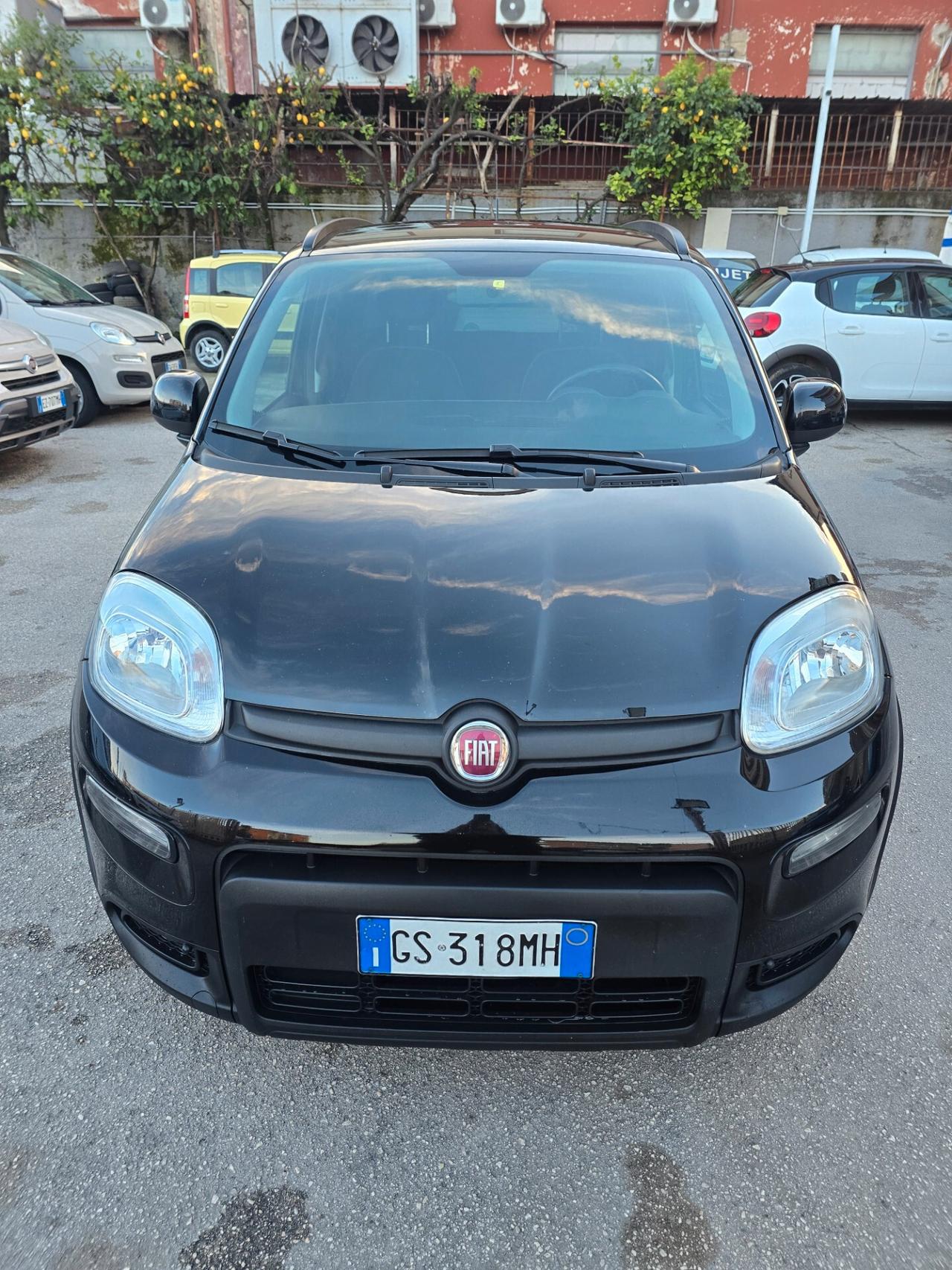 Fiat Panda 1.0 FireFly S&S Hybrid City Life