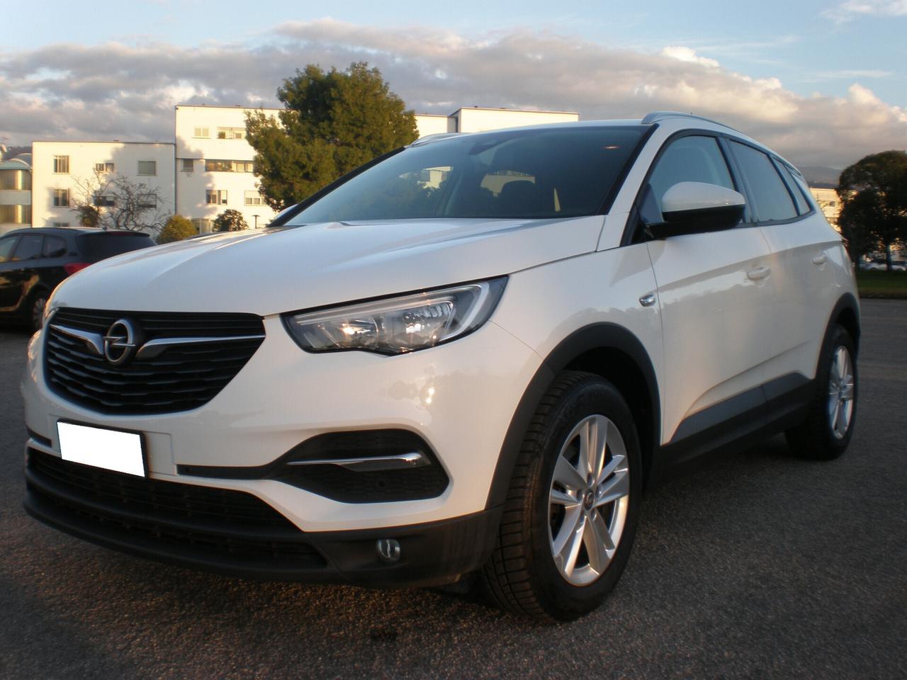 Opel Grandland 1.6 td 120 cv, tagliandi Opel, full