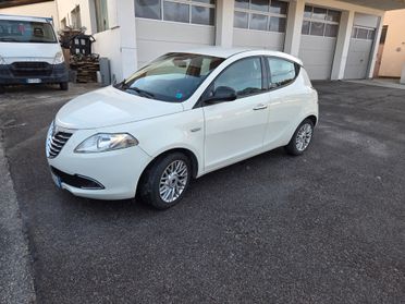 Lancia Ypsilon 1.3 MJT 16V 5 porte neopatentati