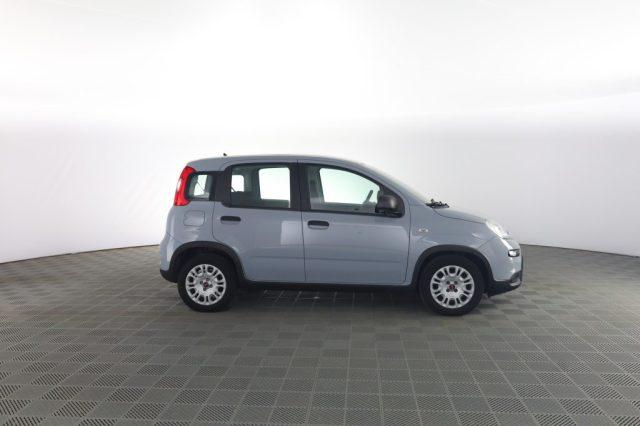 FIAT Panda Panda 1.0 FireFly Hybrid City Life