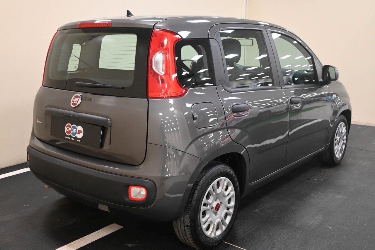 FIAT Panda 3ª serie Panda 1.0 FireFly S&S Hybrid