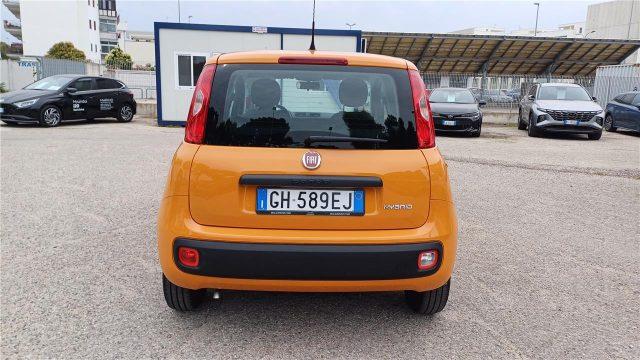 FIAT Panda 3ª serie 1.0 FireFly S&S Hybrid