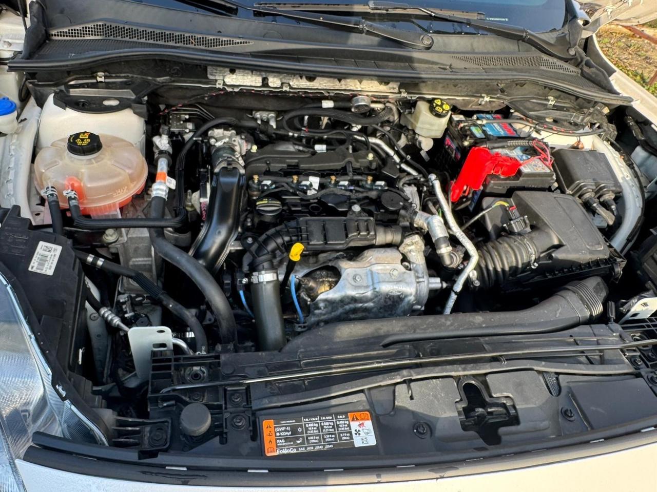 Ford Kuga 1.5 EcoBlue 120 CV aut. 2WD ST-Line X