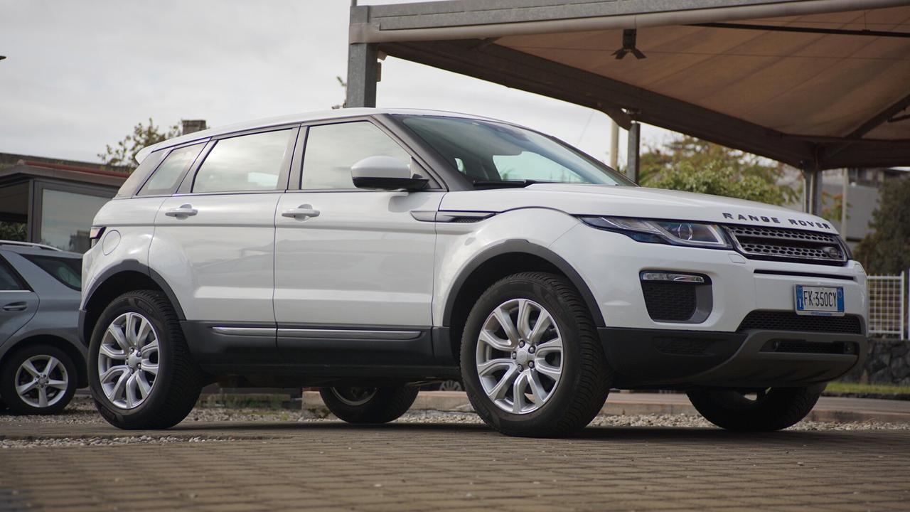 Land Rover Range Evoque 2.0 TD4 150 CV 5p. Business Edition Pure