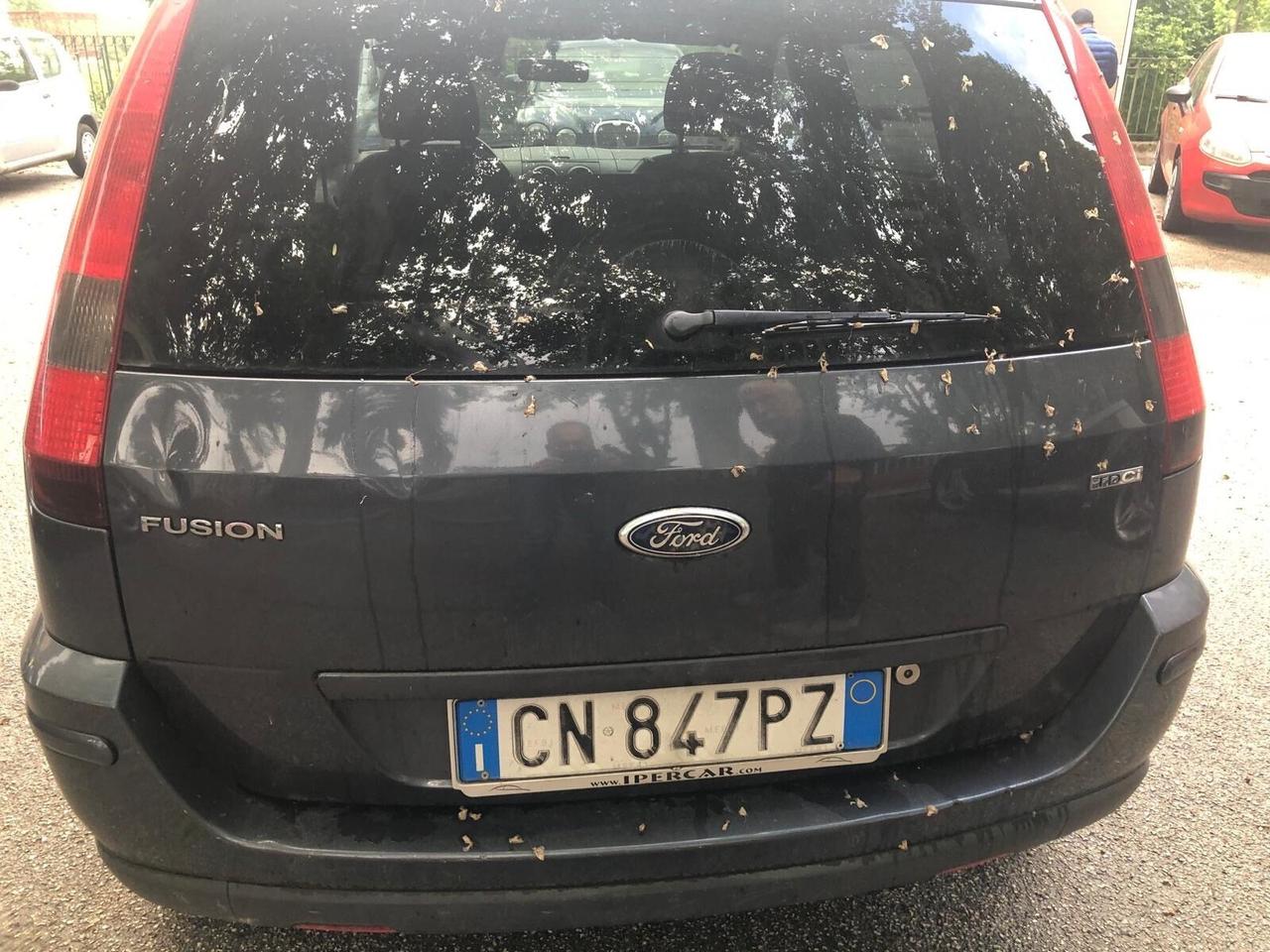 Ford Fusion 1.4 TDCi 5p. Leather Collection